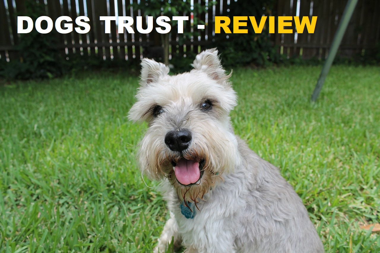 Dogs Trust – Review