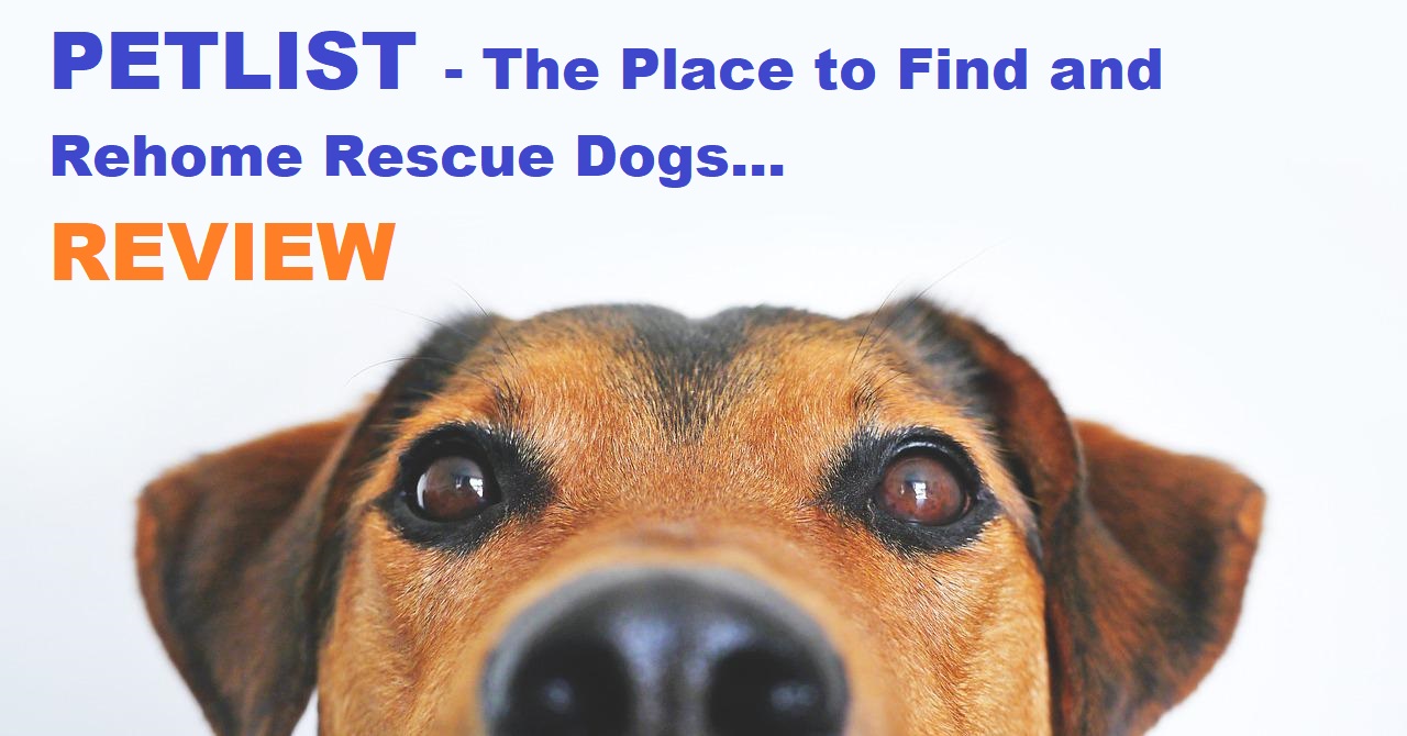 Petlist Database for Rescue Dogs – Review